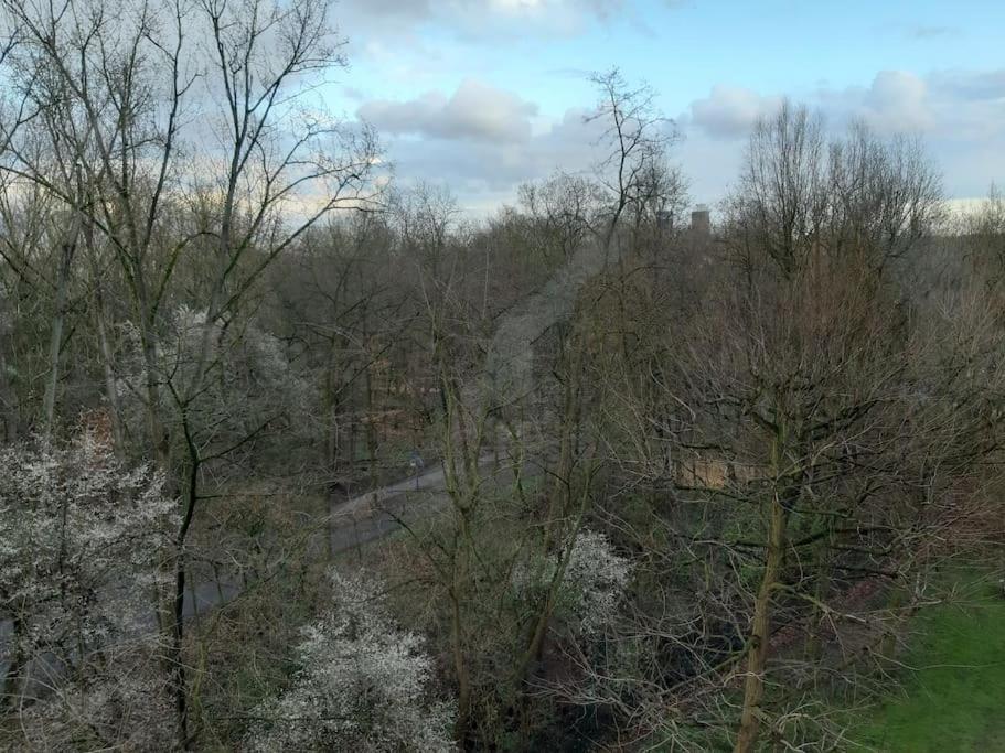 Zentral Und Doch Natur Köln Exterior foto